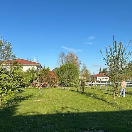 Black Horse Family Apartment - Barrierearm - Pfotenglueck - Familienzeit By Loewenherz Homes Stephanskirchen Екстер'єр фото